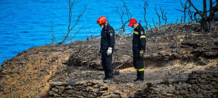 FAZ για τις φωτιές στην Ελλάδα: Το πρόβλημα είναι η συγκέντρωση εξουσιών